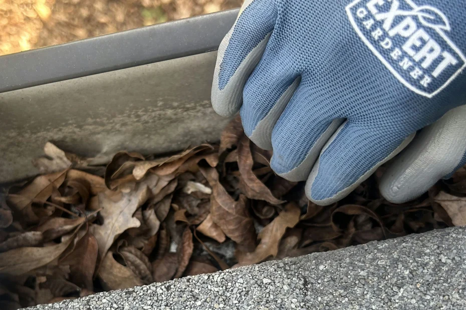 Gutter Cleaning South Mills