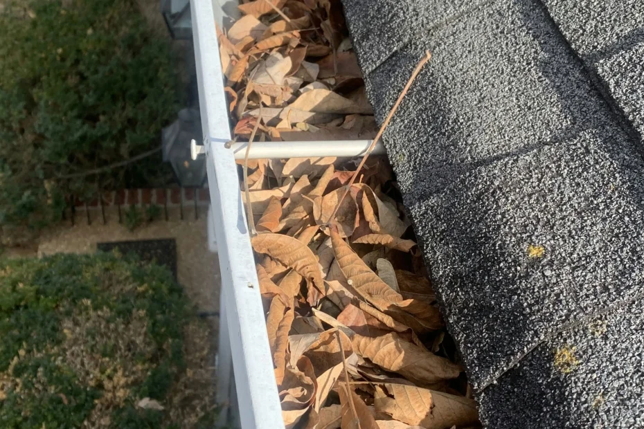 Gutter Cleaning South Mills