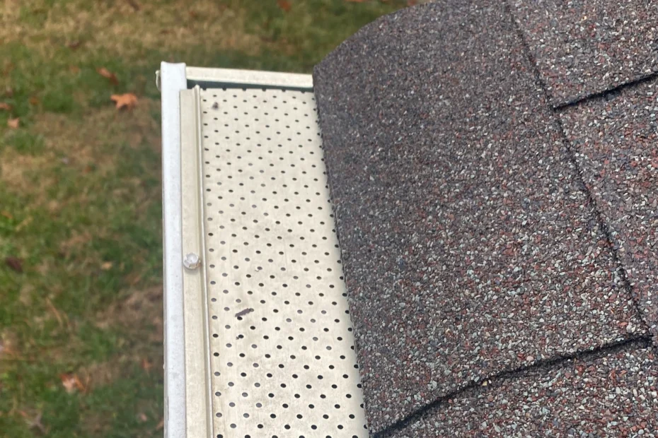 Gutter Cleaning South Mills