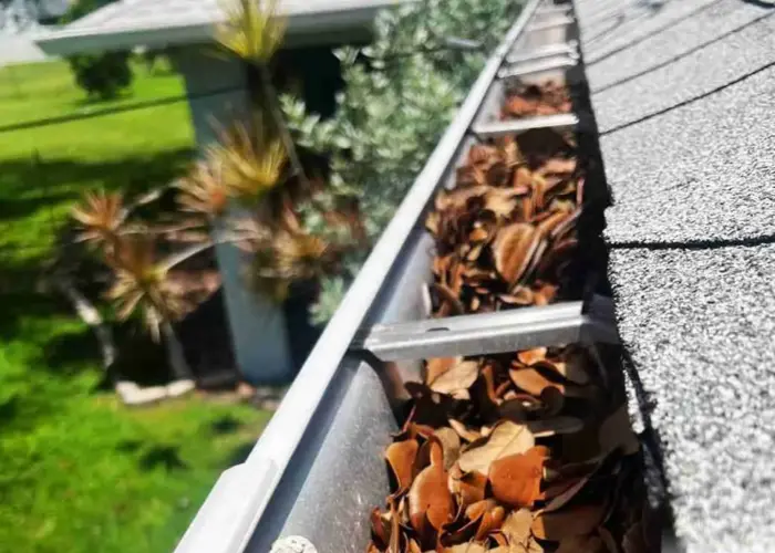 Gutter Cleaning South Mills home page